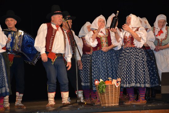 Dvakrát na Podzimním seniorském odpoledni vystoupil folklorní soubor Pilky ze Lhotky za doprovodu Pustkovy cimbálové muziky z Kozlovic.
FOTO: DANA HOĎÁKOVÁ