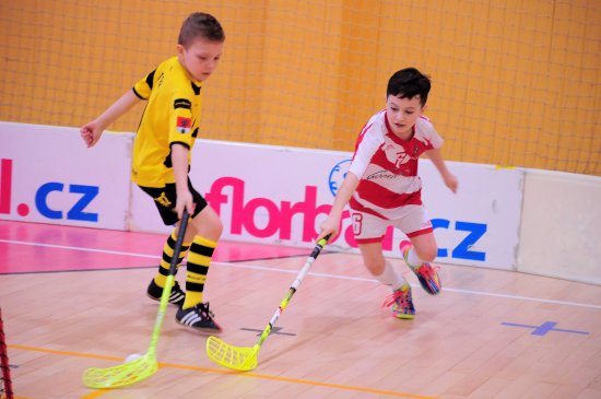 Elévové FBC Vikings Kopřivnice po dvou vítězstvích, jedné remíze a jedné prohře vybojovali na domácím turnaji druhou příčku.
FOTO: KRISTINA ČABLOVÁ