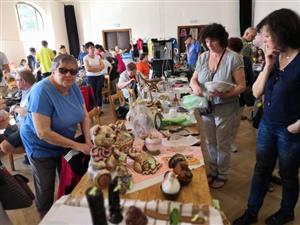 O prodejce neměl ani dvanáctý Blešák v pořadí nouzi. Pěkné počasí však od návštěvy odradilo část nakupujících.
FOTO: DAVID MACHÁČEK