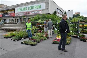 Před týdnem v pátek 15. června se konal v centru města letos již druhý farmářský trh. Po celý den své zboží nabízelo třicet prodejců. Lidé si tak mohli koupit nejen domácí pečivo či uzeniny, ale i sazenice nebo výrobky řezbářů.
FOTO: DANA HOĎÁKOVÁ
