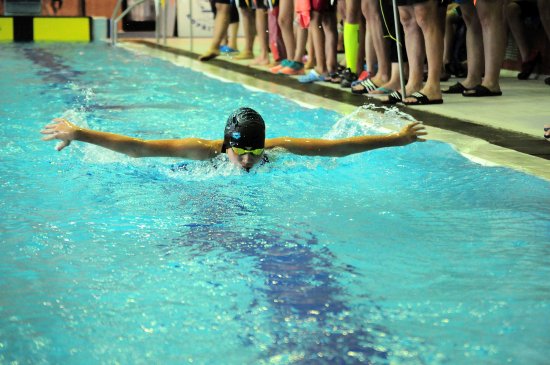 Šárka Jadrníčková (SK Kopřivnice) se na mistrovství ČR konaném na kopřivnickém bazéně probojovala i do první desítky.
FOTO: KRISTINA ČABLOVÁ