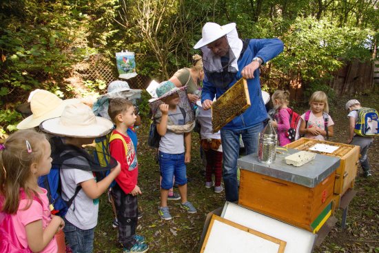 V rámci doprovodného programu Festivalu medu a písničky včelaři předváděli práci s včelami. O ukázky byl velký zájem především mezi nejmenšími návštěvníky, kterých jen v průběhu čtvrtka přišlo víc než pět stovek.
FOTO: DANA HOĎÁKOVÁ