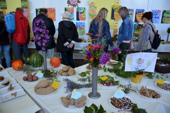 Na tradiční výstavu pořádanou lubinskými zahrádkáři přišlo o pouťové neděli víc jak pět set návštěvníků.
FOTO: DANA HOĎÁKOVÁ