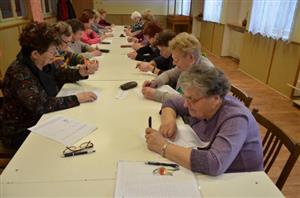 Naučit se trénovat svůj mozek a zlepšit paměť přišlo v úterý 12. března do klubovny v Kulturním domě v Mniší 17 seniorů.
FOTO: LUCIE KAZLEPKOVÁ