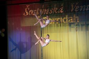 Vystoupení v pole dance Daniely Bačové (níže) a Julie Krakovské bylo možné zhlédnout mimo jiné také na loňském ročníku Šostýnské Venuše.
FOTO: PATRIK PAVLAČÍK
