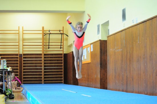 Olivie Pešatová (GK TJ Sokol Kopřivnice) vybojovala v domácím závodě Brnkačka 2019 druhou příčku v kategorii mladších žákyň.
FOTO: KRISTINA ČABLOVÁ