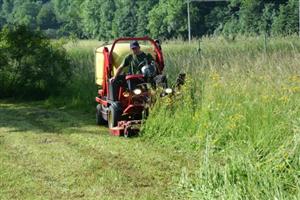 Areál kopřivnického hřbitova patří k místům, která jsou sečena pouze dvakrát za rok. Takových míst by mohlo být v budoucnu víc.
FOTO: DANA HOĎÁKOVÁ