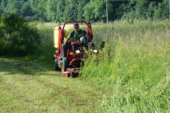 Areál kopřivnického hřbitova patří k místům, která jsou sečena pouze dvakrát za rok. Takových míst by mohlo být v budoucnu víc.
FOTO: DANA HOĎÁKOVÁ