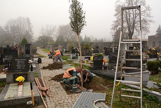 Zasazením vzrostlých stromů ve staré části kopřivnického hřbitova byla v minulém týdnu završena jeho letošní rekonstrukce.
FOTO: DAVID MACHÁČEK
