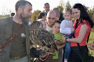 Na Drakiádě po ukázce sokolnické skupiny využili účastníci možnosti pohladit si dravce.
FOTO: DANA HOĎÁKOVÁ
