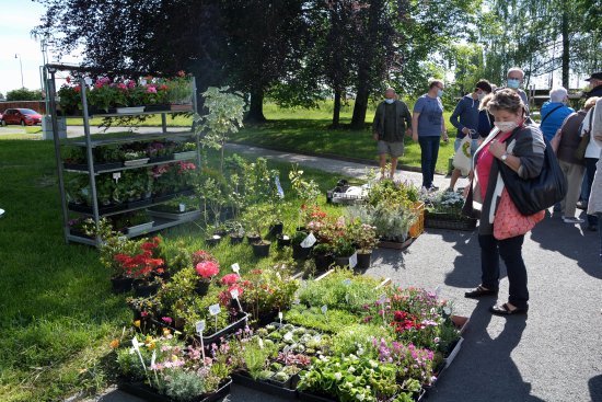 Farmářské trhy nabídly zájemcům hned několik prodejců sazenic okrasných rostlin i zeleniny, ale i další regionální produkty.
FOTO: DANA HOĎÁKOVÁ