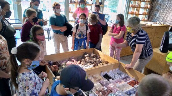 Děti navštěvující badatelský kroužek BADY vyrazily na výlet do Rožnova, kde si rozšířily své znalosti z geologie. 
FOTO: EVA KYTKOVÁ