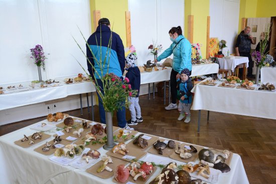 Výstava je tradiční součástí pouťového programu v Lubině. Letos návštěvníci Katolického domu viděli především houby, které sesbíral Jaromír Durček. 
FOTO: D. MACHÁČEK
