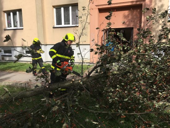 Silný vítr minulý víkend zaměstnával kopřivnické hasiče. Během soboty i neděle odstraňovali řadu polámaných stromů i další nebezpečné stavy.
FOTO: JSDH