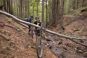 Také na trase letošního Drtiče čekala na účastníky řada překážek. Své o tom ví i Petr Daněk (v popředí) s Alešem Kudličkou z Vyškova.
FOTO: RADEK TOMEŠ