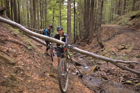 Také na trase letošního Drtiče čekala na účastníky řada překážek. Své o tom ví i Petr Daněk (v popředí) s Alešem Kudličkou z Vyškova.
FOTO: RADEK TOMEŠ