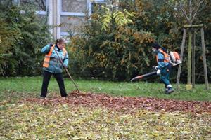 Začal každoroční úklid spadaného listí. Ten bude probíhat ve městě pět až šest týdnů v závislosti na počasí.
FOTO: DANA HOĎÁKOVÁ