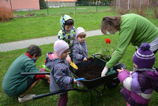 V rámci oslav Dne Země děti v mateřských školách nejen vysazovaly stromy, ale také truhlíky, které ozdobí ulice města.
FOTO: DANA HOĎÁKOVÁ