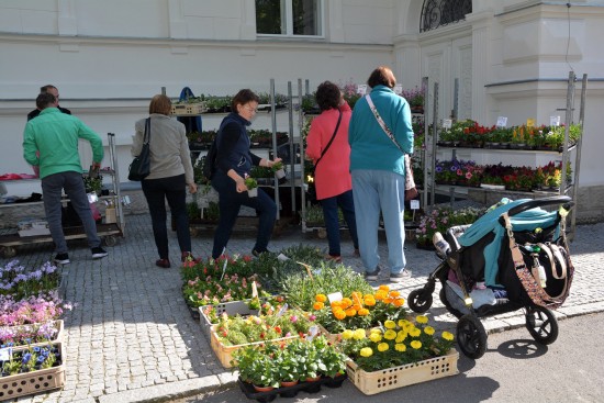 Největší zájem na prvním farmářském trhu konaném v parku E. Beneše byl o sazenice zeleniny i květin.
FOTO: DANA HOĎÁKOVÁ