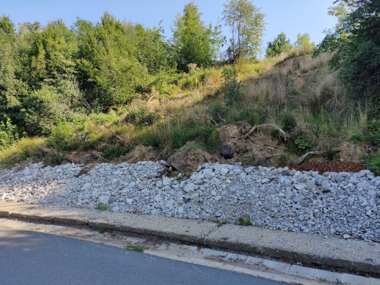Vloni v červnu sesunutý svah ve Větřkovicích je i přes provizorní zajištění paty sesuvu podle odborníků stále aktivní.
FOTO: DAVID MACHÁČEK