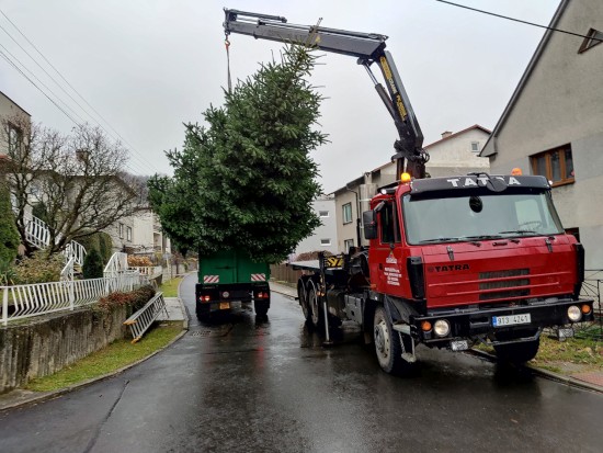 Letošní vánoční strom pro Kopřivnici darovala rodina ze štramberského Dražného. Zhruba 25 let stará jedle se před Ringhofferovou vilou poprvé rozzáří v neděli.
FOTO: D. MACHÁČEK