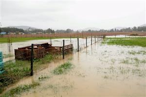 Lokalita v Lubině na Holotě, která je po vydatnějších nebo déletrvajících deštích zaplavována vodou z polí, se dočká protipovodňové ochrany.
FOTO: DAVID MACHÁČEK