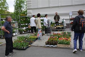 První letošní farmářský trh byl především ve znamení sazenic, které kupovali zájemci nejen na své zahrádky, ale i do truhlíků na balkony.
FOTO: DANA HOĎÁKOVÁ