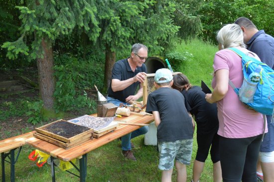 Druhý ročník zážitkové akce pro rodiny, připravený spolkem Vlčovjan, se věnoval včelám. Účastníci se na trati dozvěděli mnoho informací a plnili různé úkoly.
FOTO: DANA HOĎÁKOVÁ