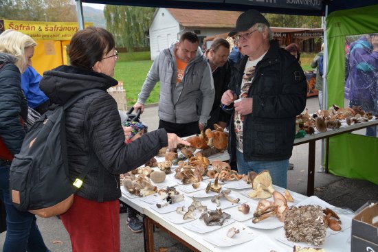 Zájem o konzultace s mykologem Jaromírem Durčekem posílila letošní vydatná houbařská sezona.
FOTO: DANA HOĎÁKOVÁ