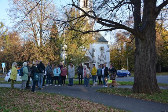 Den stromů si Kopřivničané mohli připomenout účastí na tematické vycházce po památných stromech v ulicích města.
FOTO: DANA HOĎÁKOVÁ