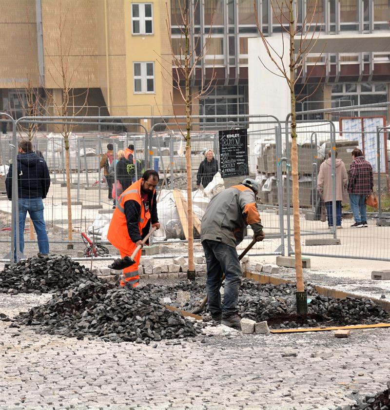 V minulém týdnu začala první výsadba stromů v rekonstruovaném centru Kopřivnice. FOTO: DAVID MACHÁČEK