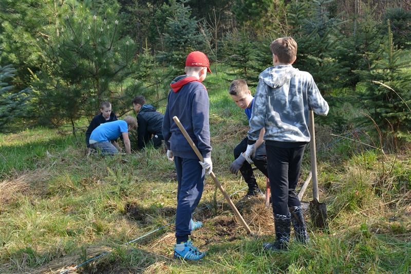 Žáci 6. tříd ze ZŠ Alšovy vysázeli na městské plantáži tři stovky sazenic smrku pichlavého a aktivně tak oslavili Den Země. FOTO: DAVID MACHÁČEK