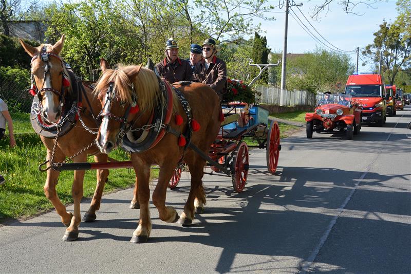 V pátek 5. května slavil Sbor dobrovolných hasičů Lubina II. své stoleté výročí. Po mši svaté za zemřelé hasiče se vydal obcí průvod, v němž nechyběla ani ruční stříkačka z roku 1924 tažená koňmi. FOTO: DANA HOĎÁKOVÁ