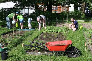 Letos založená komunitní zahrada v prostoru pod sportovní halou ZŠ E. Zátopka už nese první plody. Lidé ji budou moci navštívit 13. června od 14.30 hodin. FOTO: DAVID MACHÁČEK