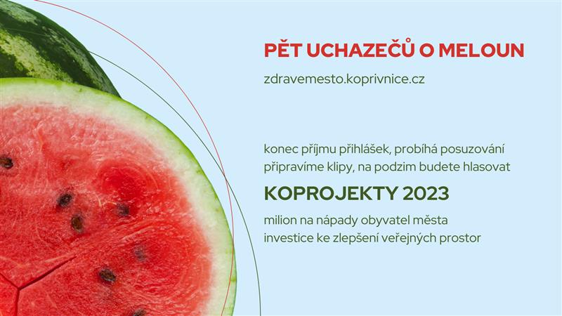 KOPROJEKTŮ bude letos maximálně pět