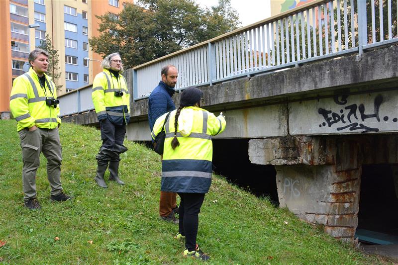 Pravidelné kontroly mostu na ulici Erbenově už několik let upozorňují na jeho nevyhovující stav. Na příští rok plánuje kopřivnická radnice na tomto místě investovat desítky milionů korun na rekonstrukci či stavbu nového mostu. FOTO: DAVID MACHÁČEK