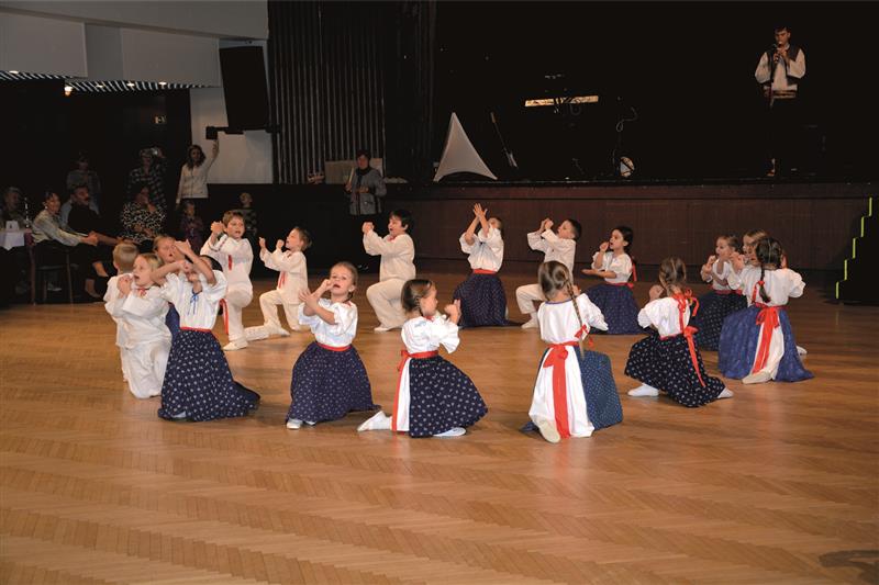 Nejmladší členové tanečního souboru Sedmikvítek z Frenštátu pod Radhoštěm sklidili za své vystoupení na seniorském odpoledni největší aplaus. FOTO: DANA HOĎÁKOVÁ