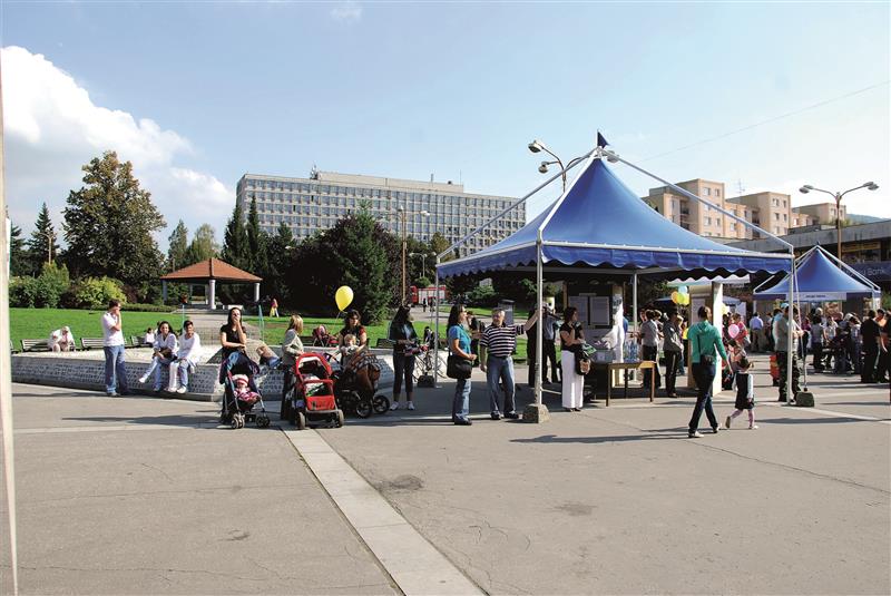 Radnice v roce 2010 pořádala akci s názvem Město je naše společné hřiště, na které prezentovala nejen realizované akce, ale i své plány pro příští období. FOTO: DANA HOĎÁKOVÁ