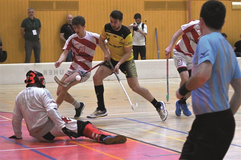 Florbalisté Kopřivnice (pruhované dresy) zvládli v domácím prostředí oba zápasy finálové série s Torpedem Havířov a ujali se v sérii vedení 2:0 FOTO: MAREK HAVRAN