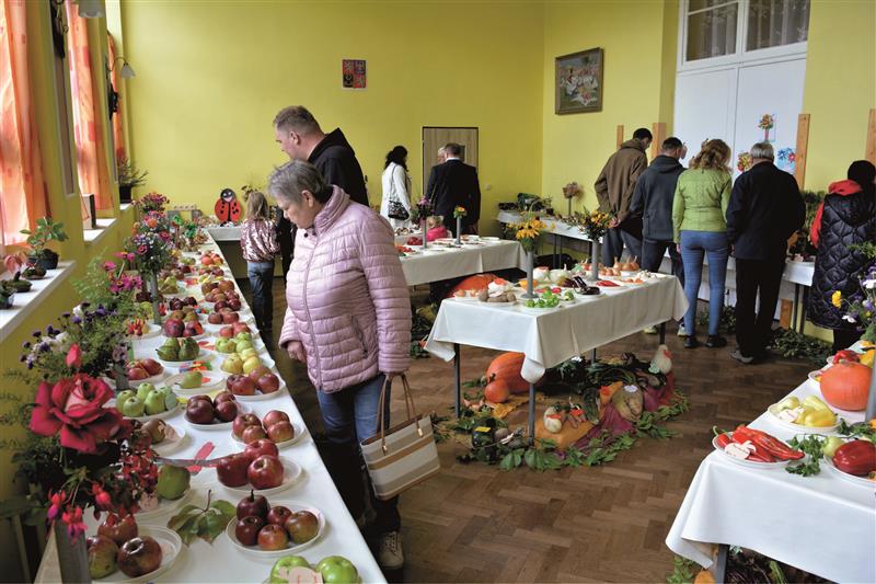 O tradiční výstavu pořádanou obyvateli Lubiny u příležitosti svatováclavské pouti byl velký zájem.  Vystaveny byly nejen výpěstky zahrádkářů, ale i kolekce hub. FOTO: DAVID MACHÁČEK