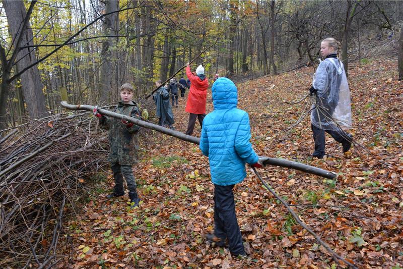 Skauti a skautky během sobotní brigády vyklidili část vyřezaných dřevin, které vyrostly v prostoru zaniklé samoty U Hurských. FOTO: DAVID MACHÁČEK