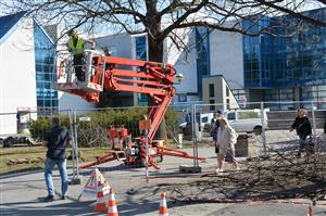 V pondělí začaly ořezem vzrostlých stromů a demontáží zábradlí a mobiliáře práce na proměně předprostoru Technického muzea Tatra. To je z toho důvodu minimálně do konce března uzavřeno návštěvníkům.