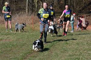 U Větřkovické přehrady se sešla více než stovka běžců se svými čtyřnohými přáteli na premiéře závodu Beskydský tahoun
