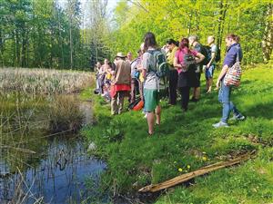 Vycházka spojená s přednáškou o léčivých rostlinách s Vladimírem Vytáskem zavedla její účastníky k rybníku pod hradem Šostýn