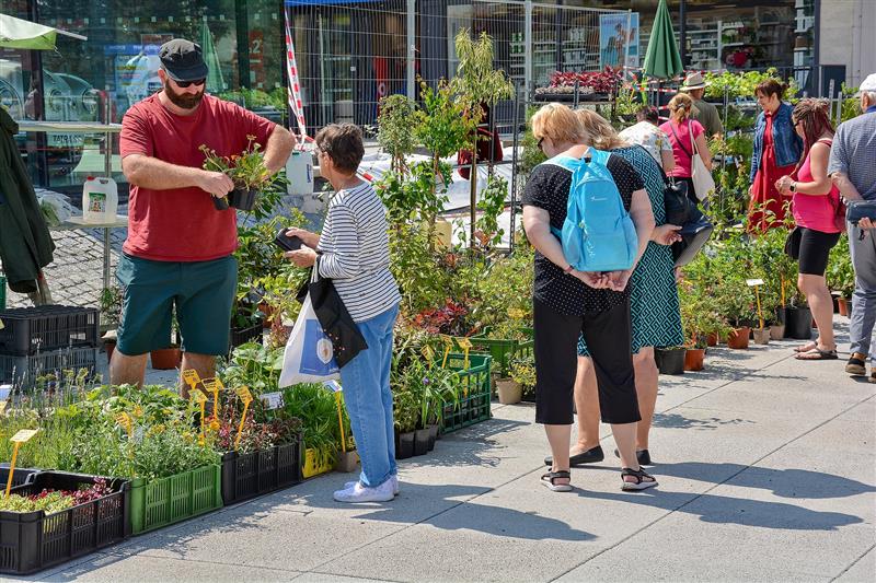Farmářský trh se poprvé konal v prostorách Nového náměstí. Své zboží přijelo nabízet celkem 23 prodejců různého sortimentu.