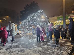 V rámci nedělního zahájení adventu měla svou premiéru také nová světelná výzdoba na Novém náměstí. Mamutí samice s mládětem se okamžitě staly miláčky přítomných dětí. FOTO: DAVID MACHÁČEK