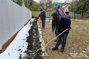 V minulém týdnu klienti EFFATHY a Kopretiny vysazovali cibulky tulipánů, které na jaře vykvetou na nově dokončené smyslové zahradě vybudované v rámci Koprojektů.