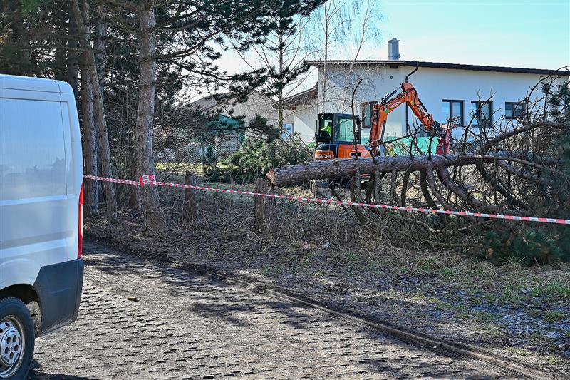 V minulém týdnu začaly první úpravy na pozemcích, kde mají vyrůst nové bytové a rodinné domy. Soukromý projekt v budoucnu ovlivní parkování na přilehlém sídlišti.