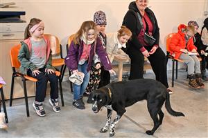 Centrum signálních zvířat v Kopřivnici funguje už devátým rokem a s jeho činností se mohly seznámit děti z přípravných tříd.