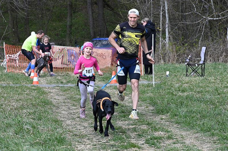 Na Beskydském tahounovi soutěžily bezmála tři desítky dětí a juniorů. Na snímku je čtvrtá mezi dětmi 7–10 let Kasia Podstavka (Carpathian Spirit/Mushing Team Ostrava).   FOTO: D. MACHÁČEK